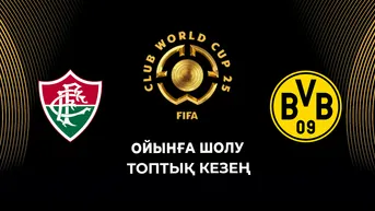 Флуминенсе - Боруссия Д. Топтық кезең. Ойынға шолу