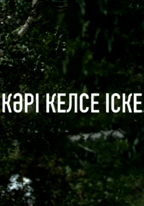 Кәрі келсе іске