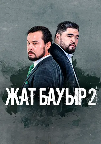 Жат бауыр 2