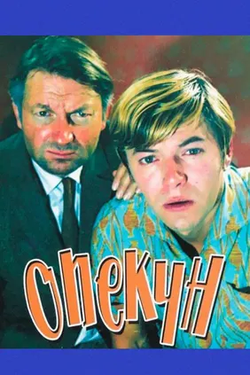 Опекун