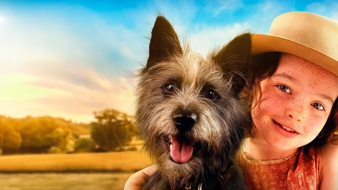Фильм Мой любимый двортерьер