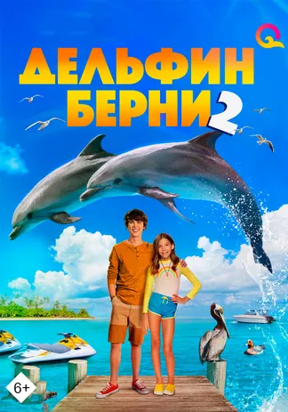 Дельфин Берни 2