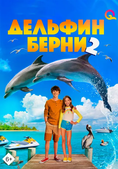 Дельфин Берни 2