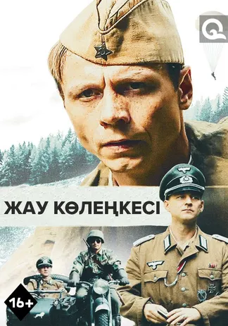Жау көлеңкесі