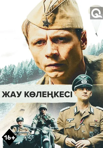 Жау көлеңкесі