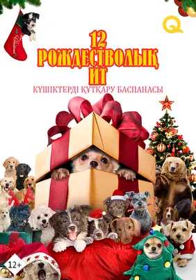 12 рождестволық ит: күшіктерді құтқару баспанасы