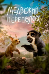 Аюлар әлеміндегі дүрбелең