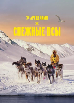 Снежные псы