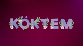 Kөktem