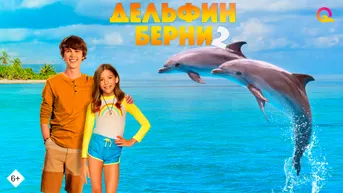 Дельфин Берни 2